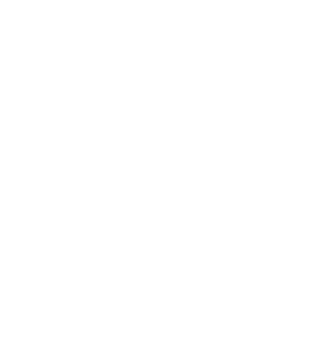 MZI Logo